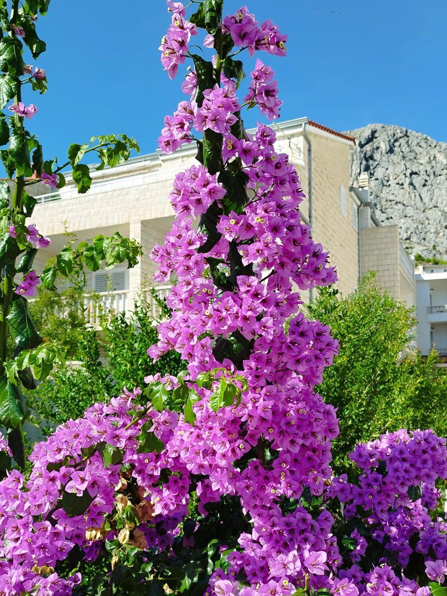 Ferienwohnung Am Sandstrand Omis Luaran gambar